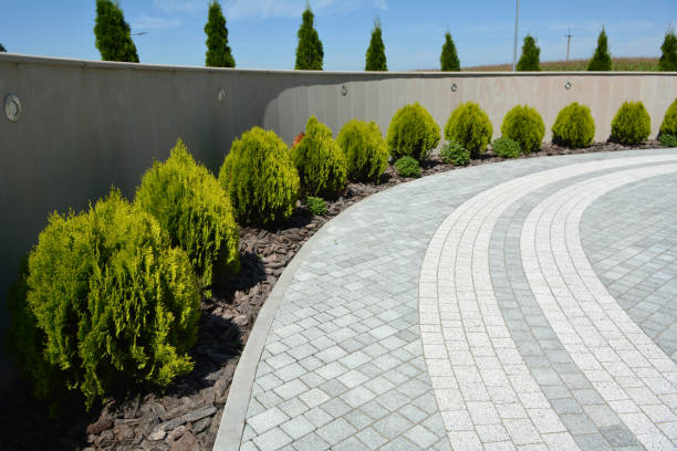 Reasons to Select Us for Your Driveway Paving Requirements in Clifton Heights, PA